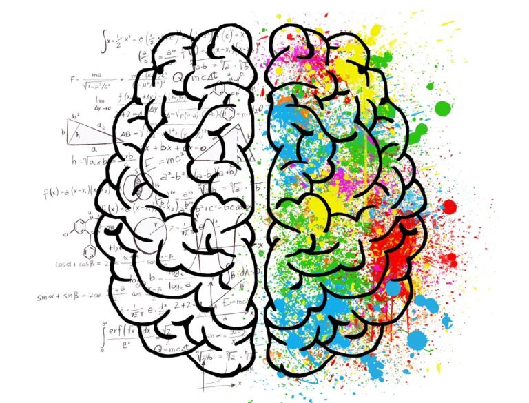 How does meditation affect the brain — Pauli Kulikowska
